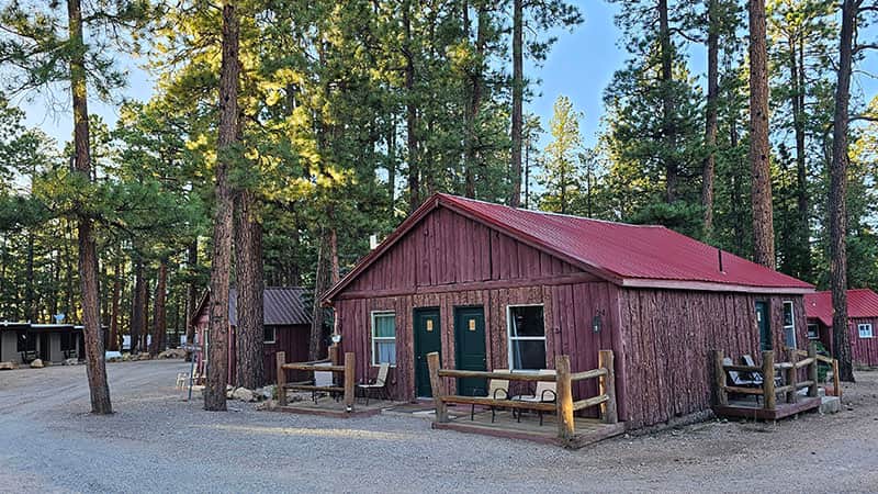 Cabins in the Pines
